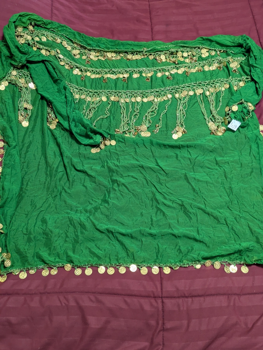 Vintage Green Belly Dance Veil Shawl Coin Trim Scarf Boho Festival Wrap Tribal